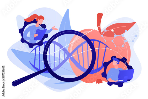 Scientists working with magnifier and apple DNA. Genetically modified foods, GM foods and genetically engineered foods concept on white background. Pinkish coral bluevector isolated illustration