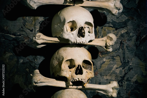 Photography Human skulls and bones. Mass burial of people