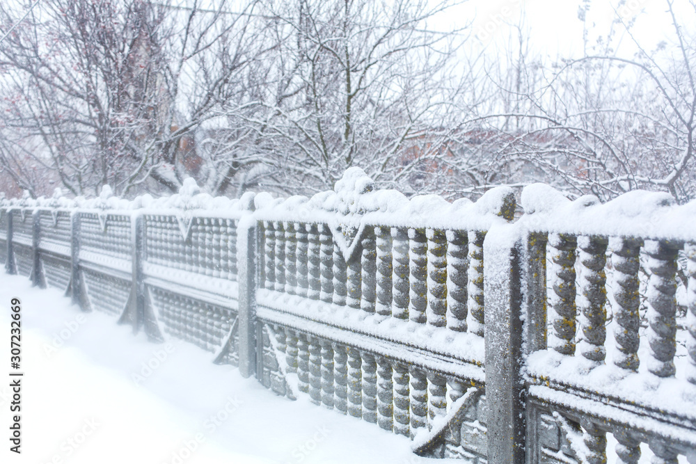 Figured fence in the snow. Harsh winter