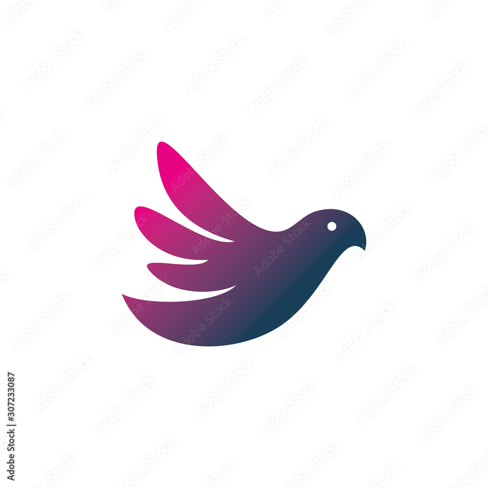 modern color bird logo design modern color bird logo design