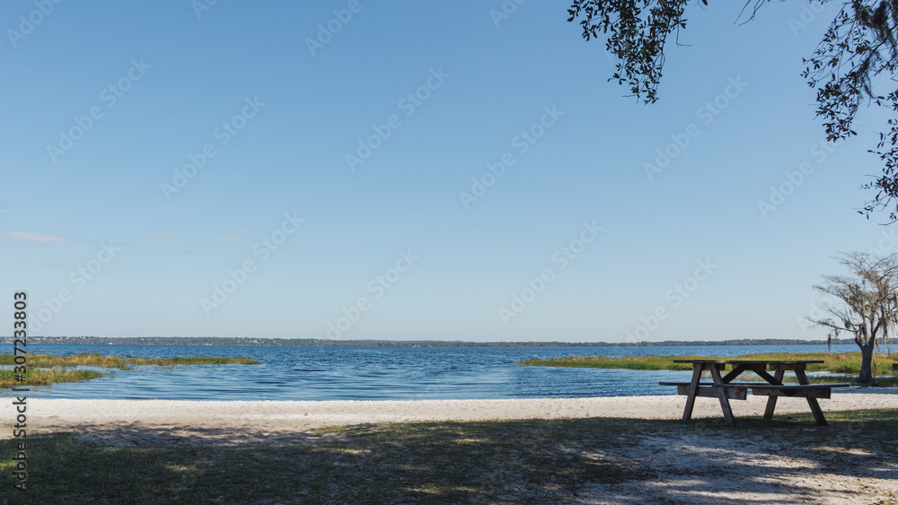 The sandy beach of Lake Louisa State Park near Orlando, Florida. The sandy beach of Lake Louisa State Park near Orlando, Florida.