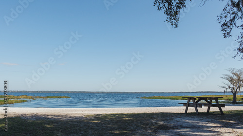 The sandy beach of Lake Louisa State Park near Orlando, Florida.