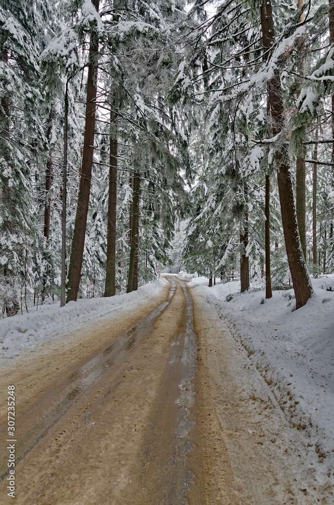 Photography Borovetz resort region in winter, Bulgaria
