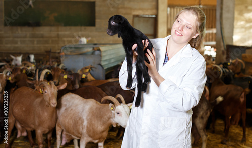 Obraz na plátne Female breeder with goatlings