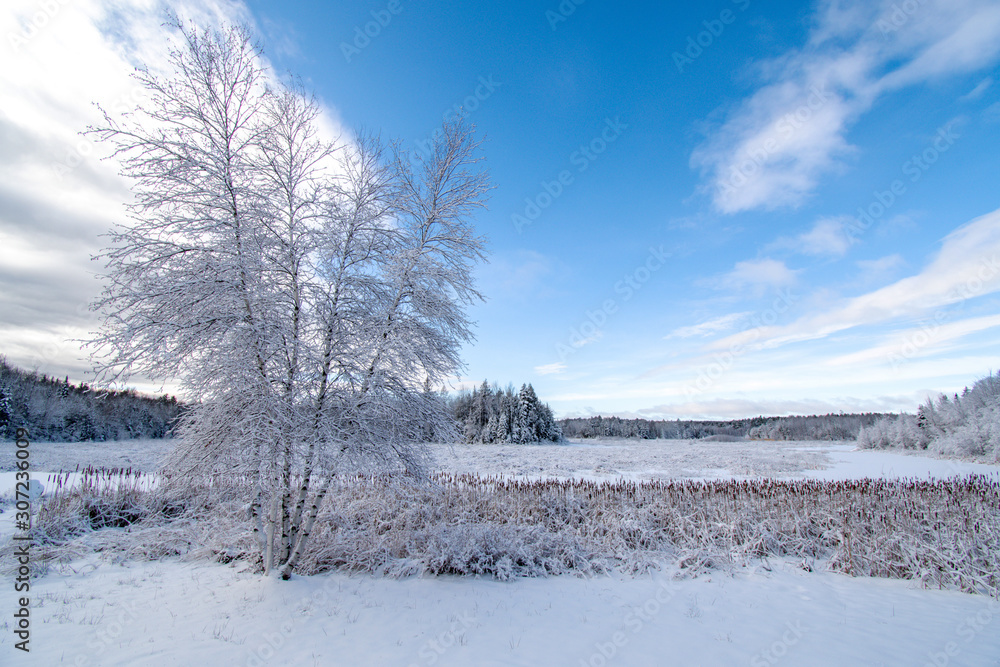 Winter scene at north of Montreal in Laurentides area Winter scene at north of Montreal in Laurentides area