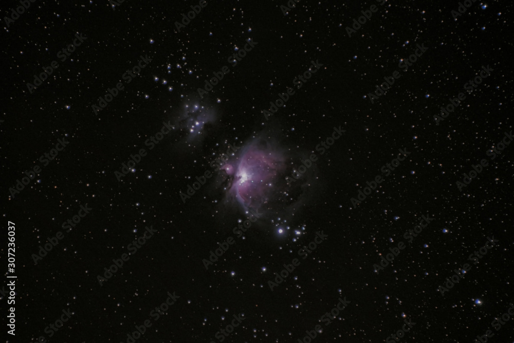 Fototapeta premium The Orion Nebula