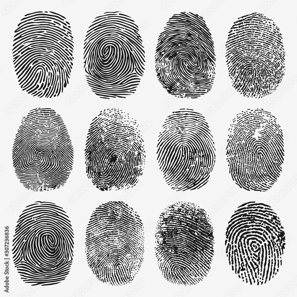 Fingerprint Vector Set - obrazy, fototapety, plakaty 