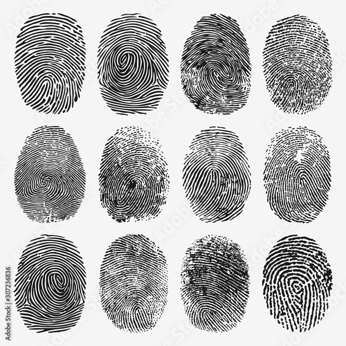 Fingerprint Vector Set photo