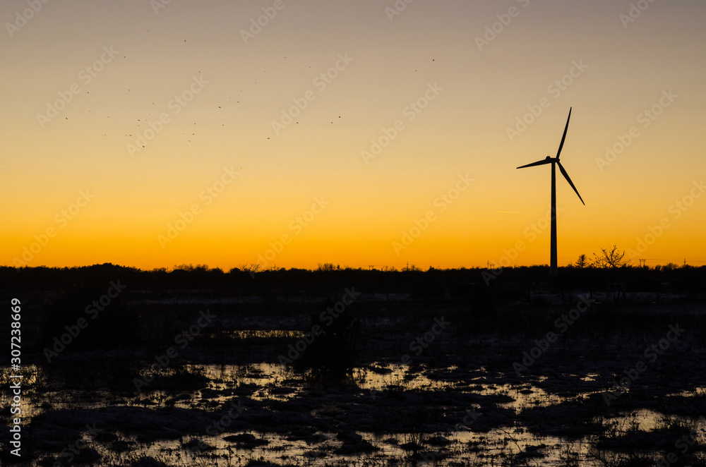 Obraz premium Sunset with wind turbine and flying birds