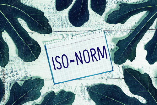 Text sign showing Iso Norm. Business photo showcasing An accepted standard or a way of doing things most showing agreed photo