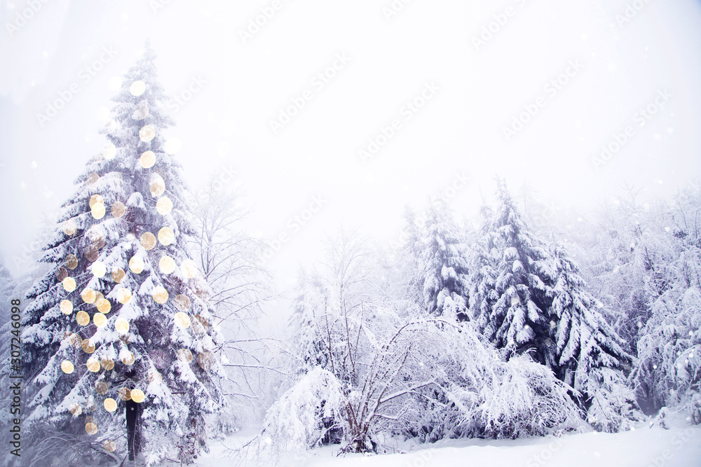 magical christmas tree lights winter background