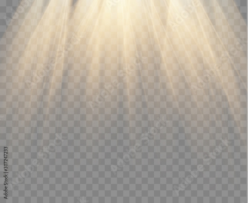 Spotlight isolated on transparent background. Vector gold rays and beams. Vector warm light effect