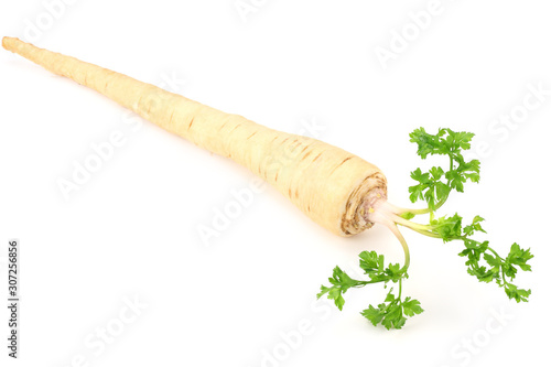 fresh parsley root isolated on white background