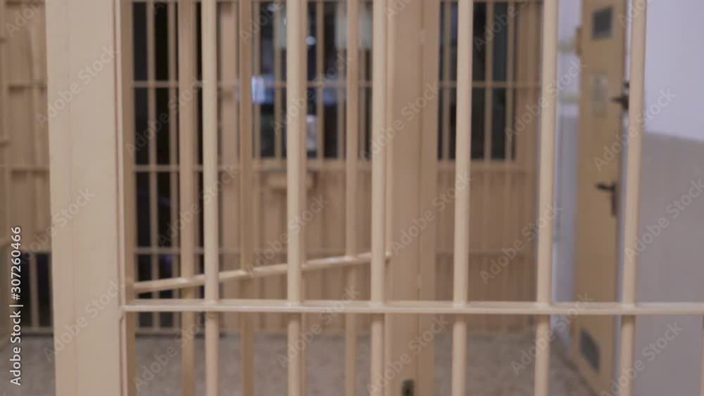 prison bars, close up, video is slowly blurring prison bars, close up, video is slowly blurring