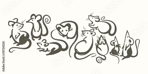 Handwritten Rats. Ink brush calligraphy. Year of the rat on the Chinese calendar.