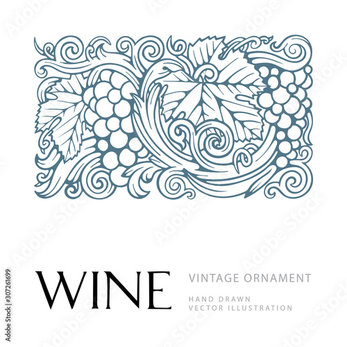 Grape and vine. Vector lettering Wine. Hand drawn grape and vine ornament with text wine. Bunch of grapes vector design element.  Wine theme vintage style ornament. 