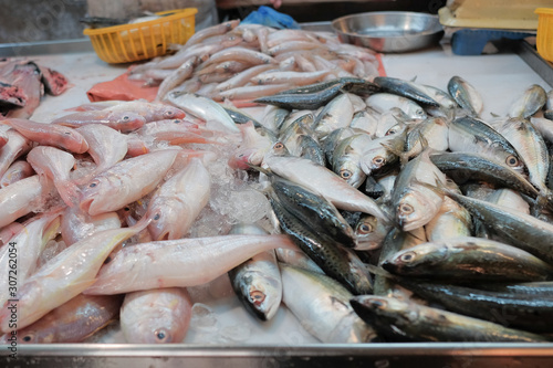 Fresh fish for sale at the market