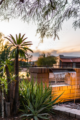 Arizona patio at sunset with palm trees and fountain