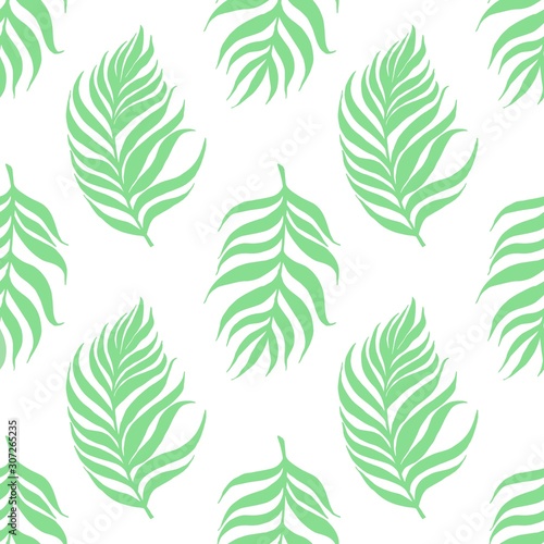 Neo mint pattern with palm dypsis leaves on white background. Seamless summer palm dypsis tropical design. Dypsis lutescens seamless pattern. Great for label  print  packaging 