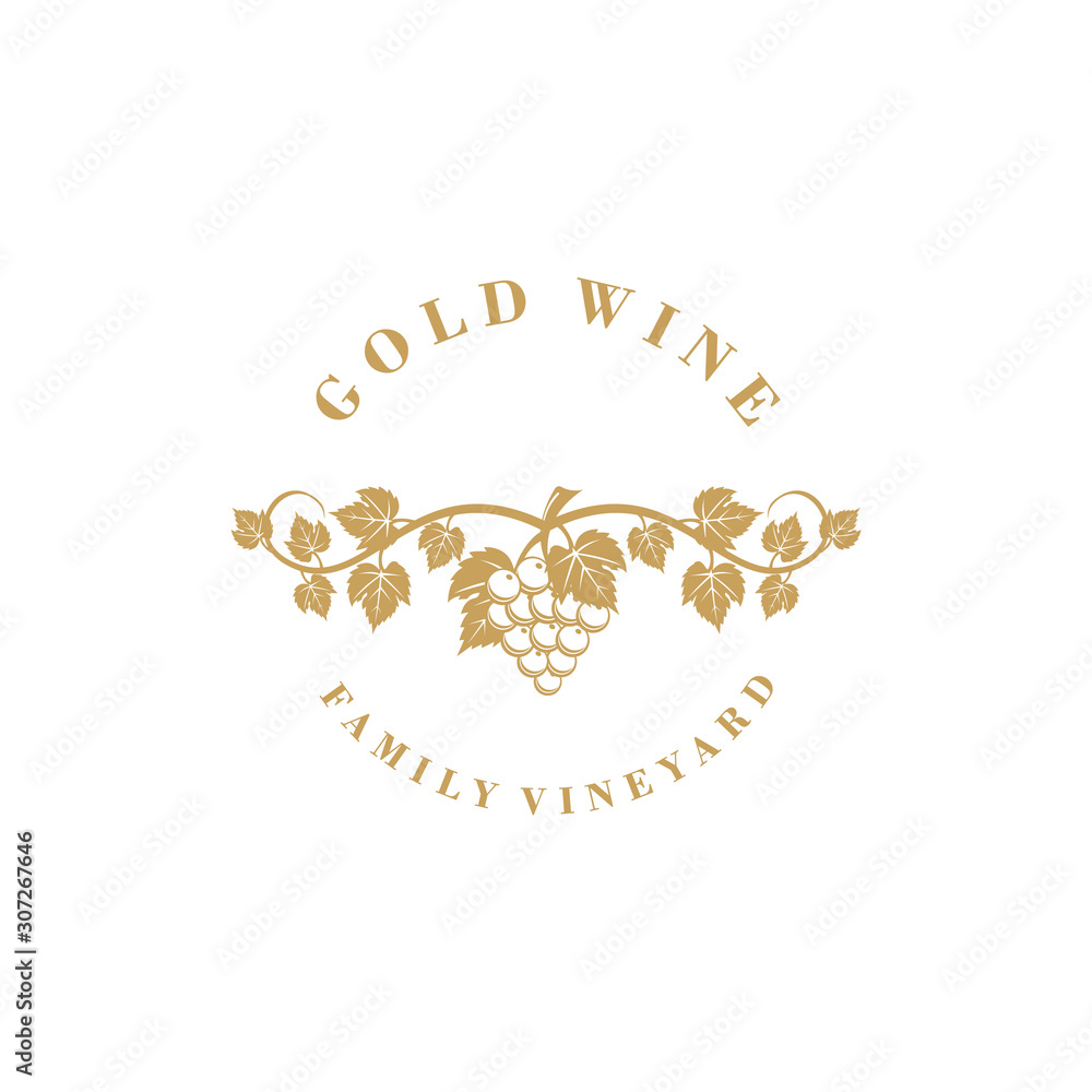 Obraz premium Gold wine logo design inspiration for winery. grape logo design 