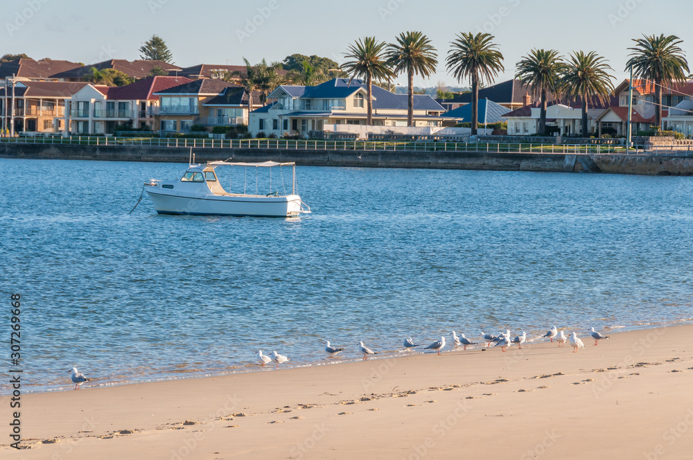 White fishing boat with seagulls ont he sandy beach and urban houses