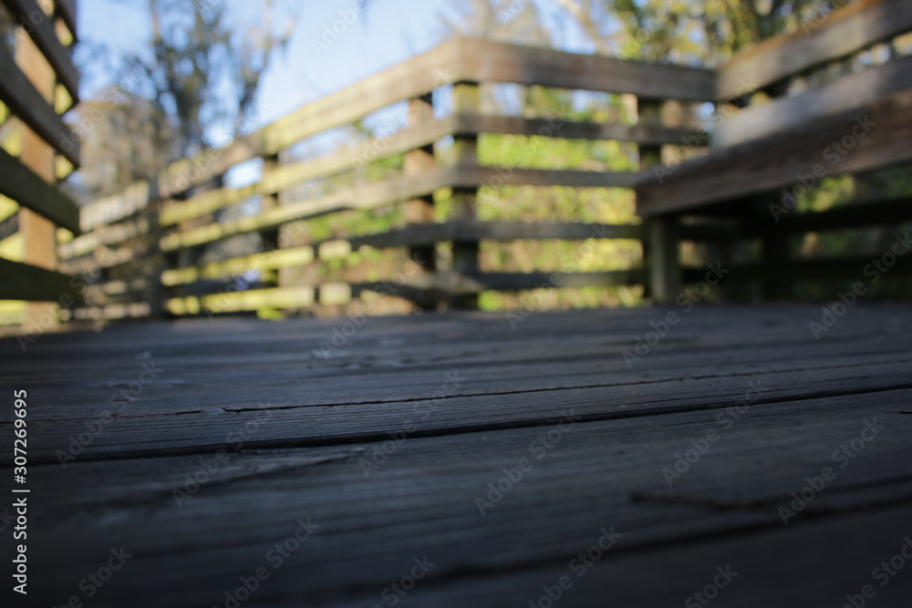bench in the park bench in the park