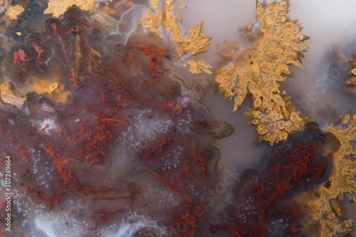 Red and Golden Agate Macro details. © Michael