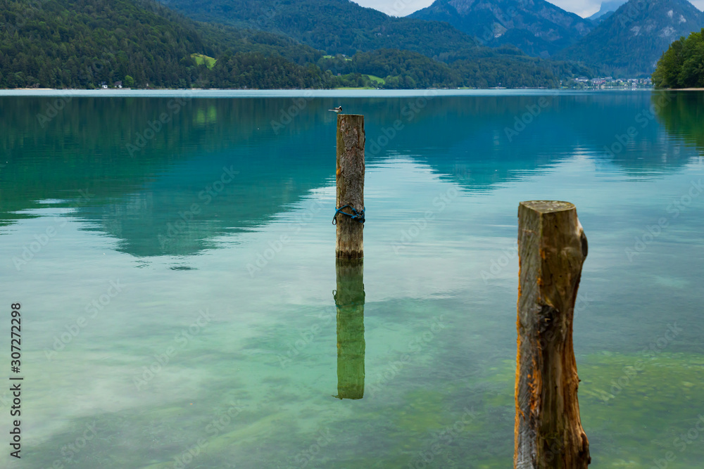 Reflection in Lake - Small Bird Wood Post Reflection in Lake - Small Bird Wood Post