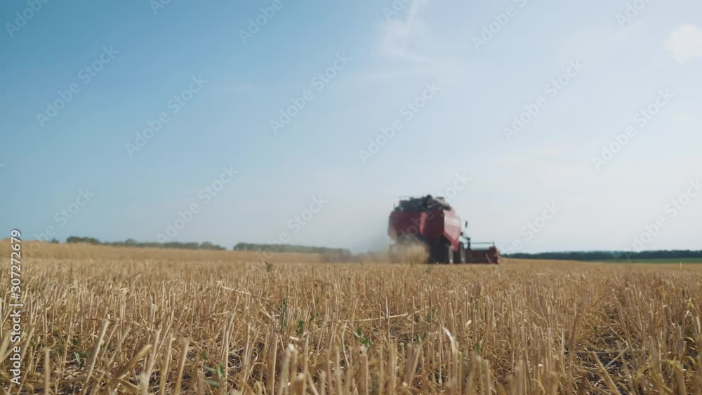 Combine harvester gathers the wheat crop. Wheat harvesting shears. Combines in the field Food industry concept. Combine harvester gathers the wheat crop. Wheat harvesting shears. Combines in the field Food industry concept.