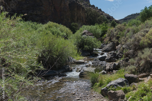 The Rio Hondo in northern New Mexico.