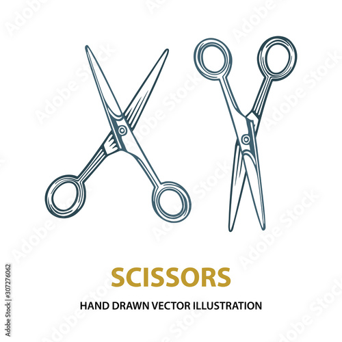 Scissors. Hand drawn scissors vector illustrations set. Vintage scissors sketch drawing icon. Part of set.