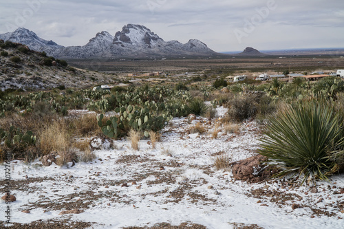 Horizontal, Rockhound park, New Mexico, winter view.