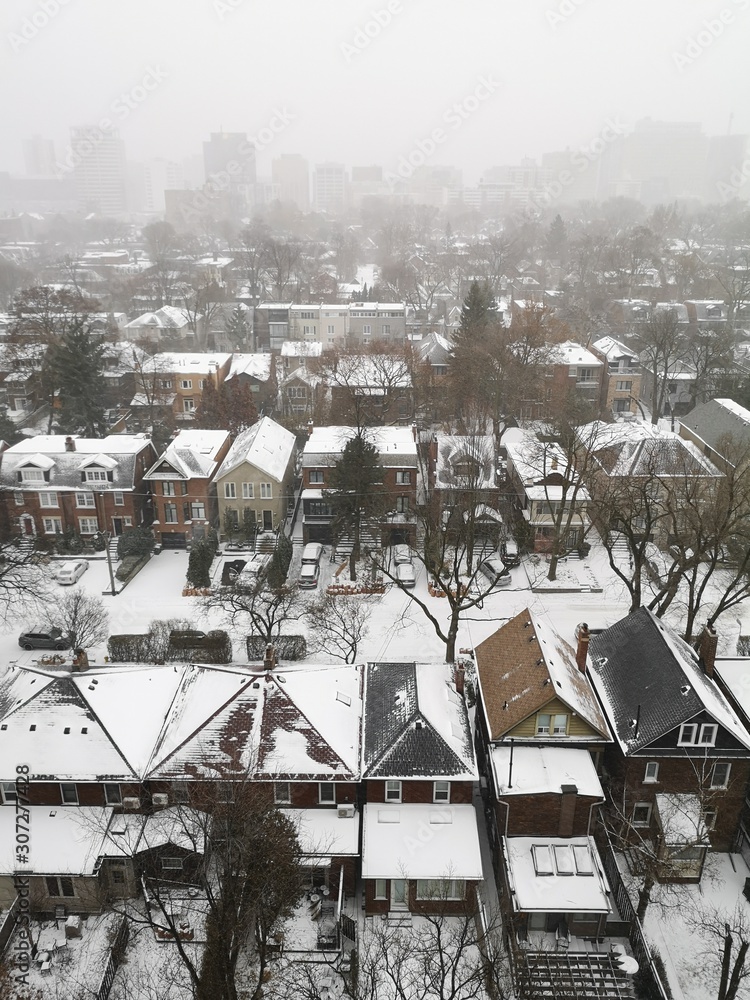 Obraz Snow storm in Toronto