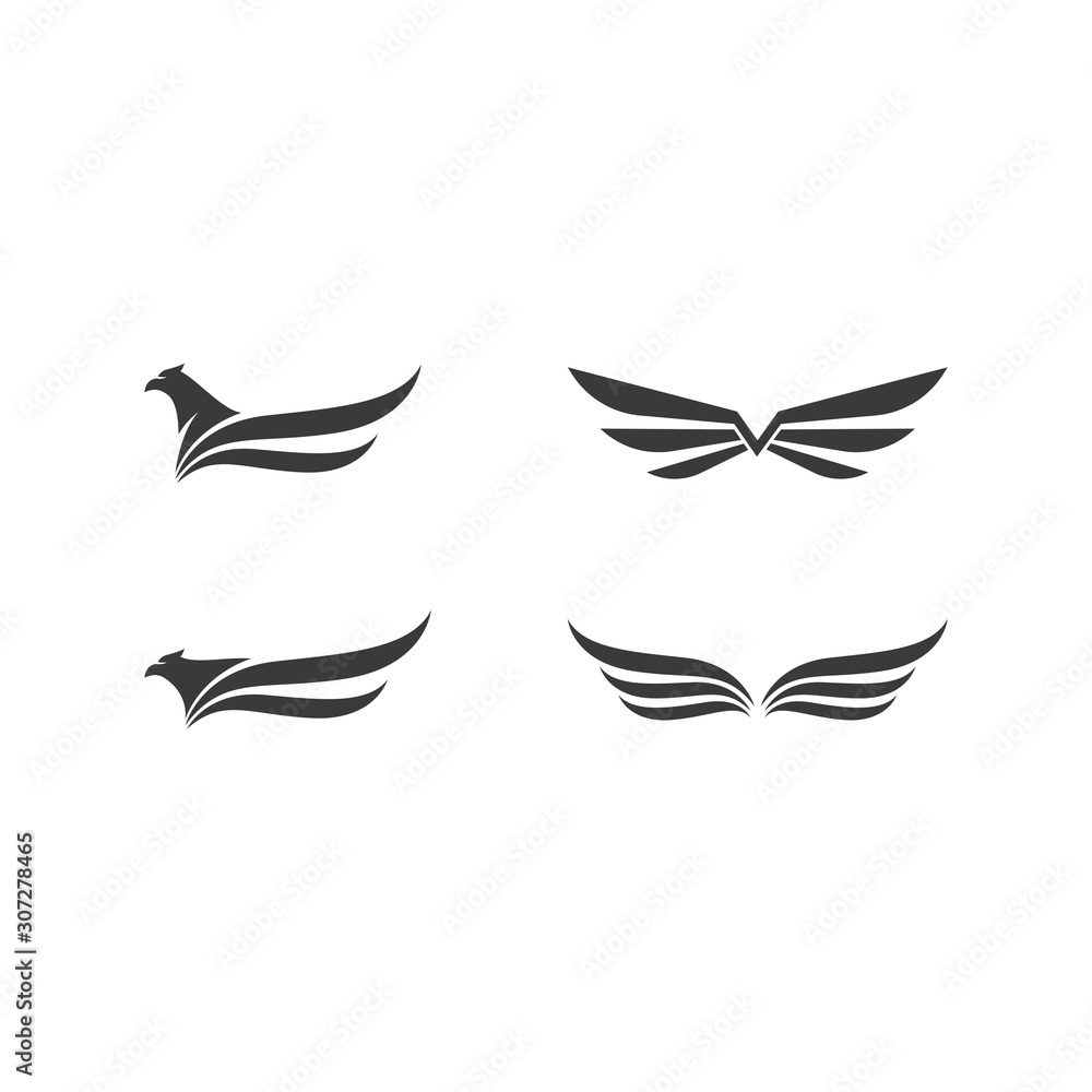 Fototapeta premium Falcon Eagle Bird Logo Template