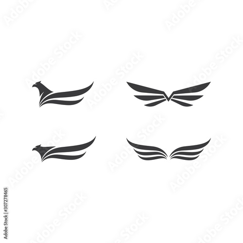 Falcon Eagle Bird Logo Template