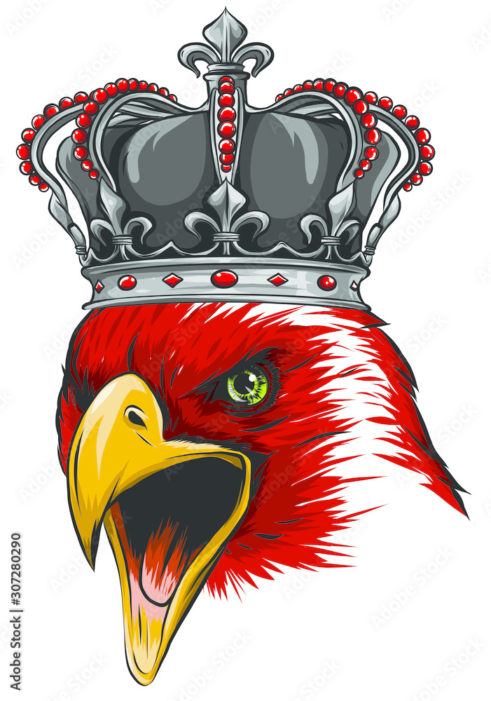 Golden eagle eye illustration Stock Vector Images - Alamy