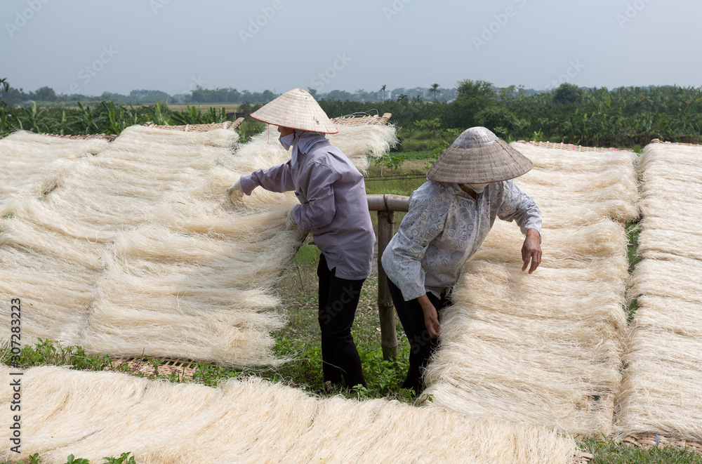 Production and drying of rice noodles, near Hanoi, Vietnam