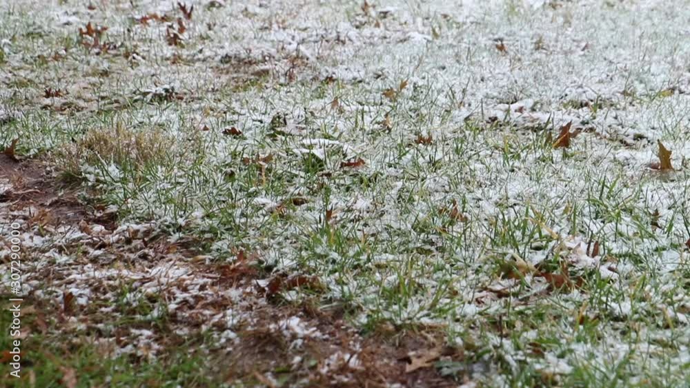 Snow falling on grass close up Snow falling on grass close up
