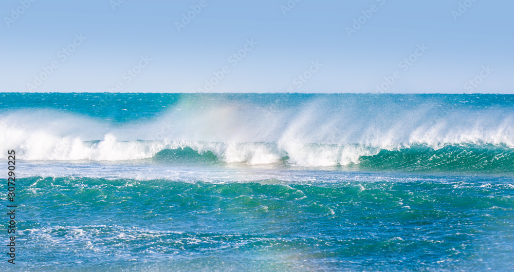 A swell wave approaches the shore
