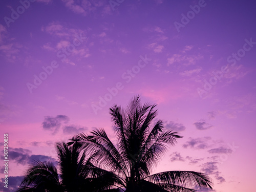 Beautiful purple sky background in the morning.