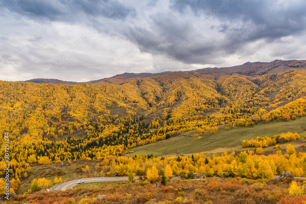 Obraz premium Autumn autumn in Xinjiang.