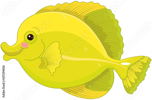 Yellow Tang Fish