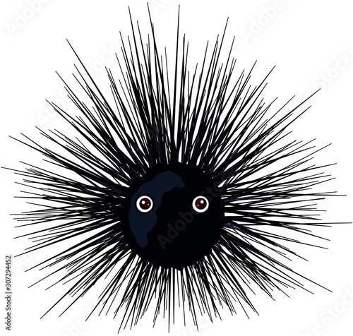 Urchin