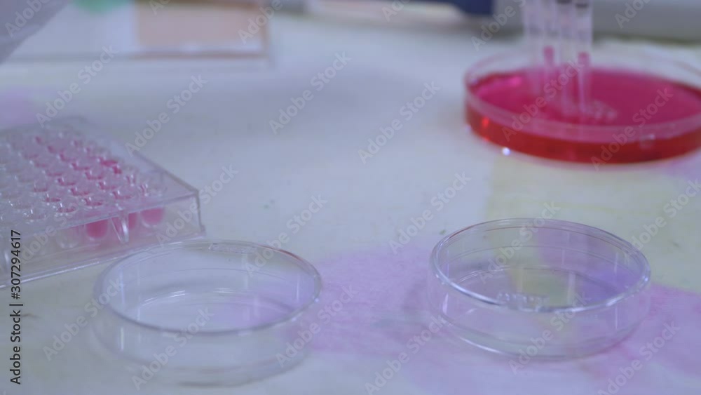 A multichannel pipette loads biological samples into a microplate for laboratory testing. Laboratory research, medical specialist uses multipipets to fill wells of multiwell tray. 4k footage. A multichannel pipette loads biological samples into a microplate for laboratory testing. Laboratory research, medical specialist uses multipipets to fill wells of multiwell tray. 4k footage.