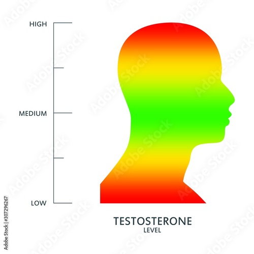 Hormone testosterone level measuring scale. Health care concept illustration. Head of man silhouette. From red to green scale.