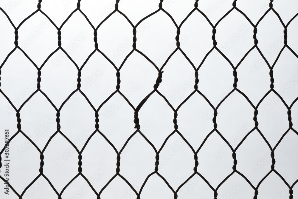 Fototapeta premium 金網