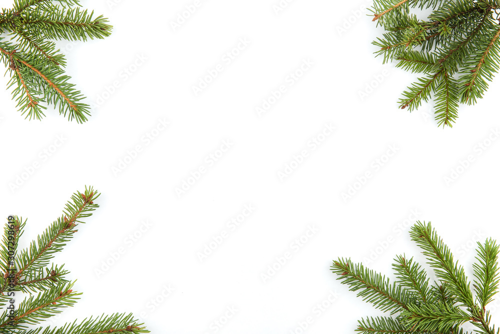 Christmas white background with fir branches in the corners