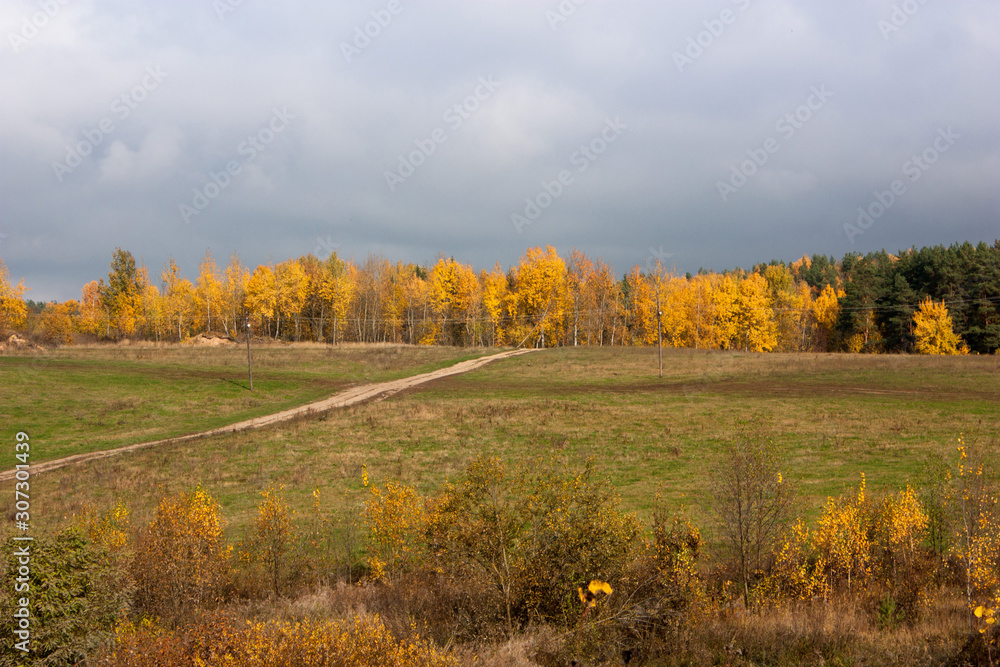 Autumn landscape with field and forest.