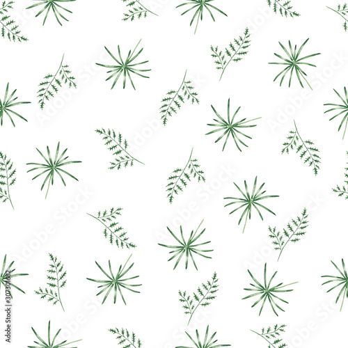 Pattern of tropical plants © Olena