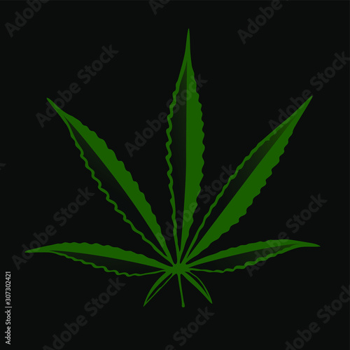 cannabis leaf vector isolated on black background